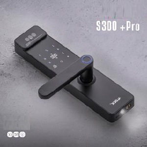s300
